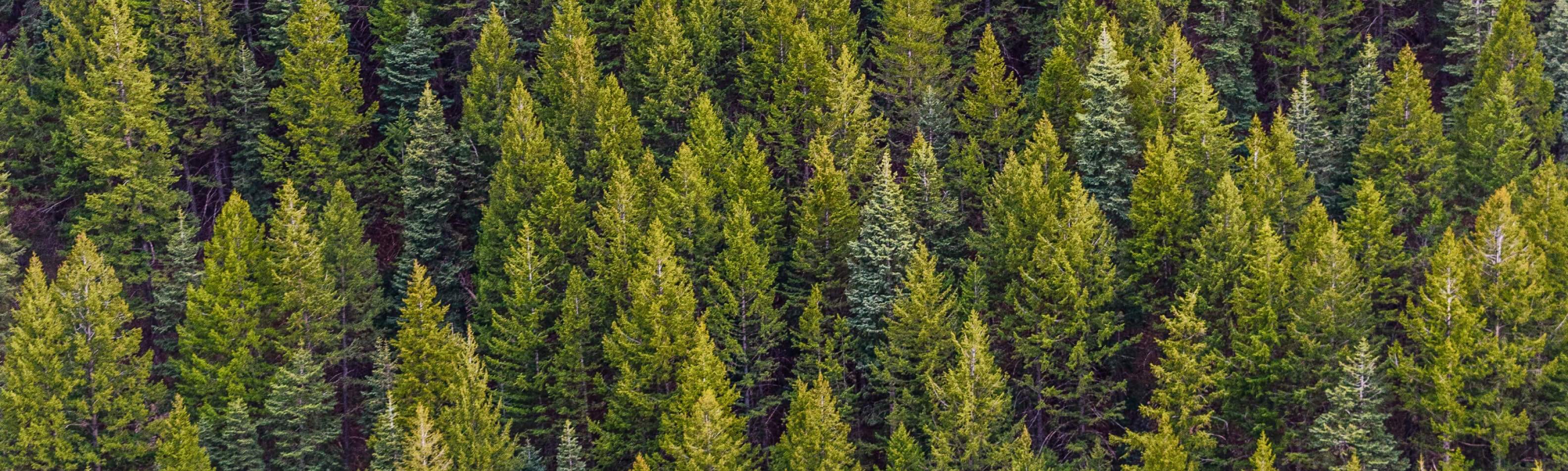 永續環保 image showcase